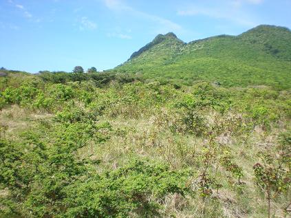 View of Quill from property